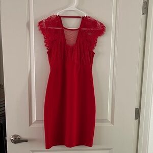 Express Red Lace Mini Dress
